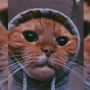 Meet your Posher, Kevin